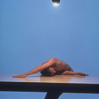 Still Life No 1 (1996)